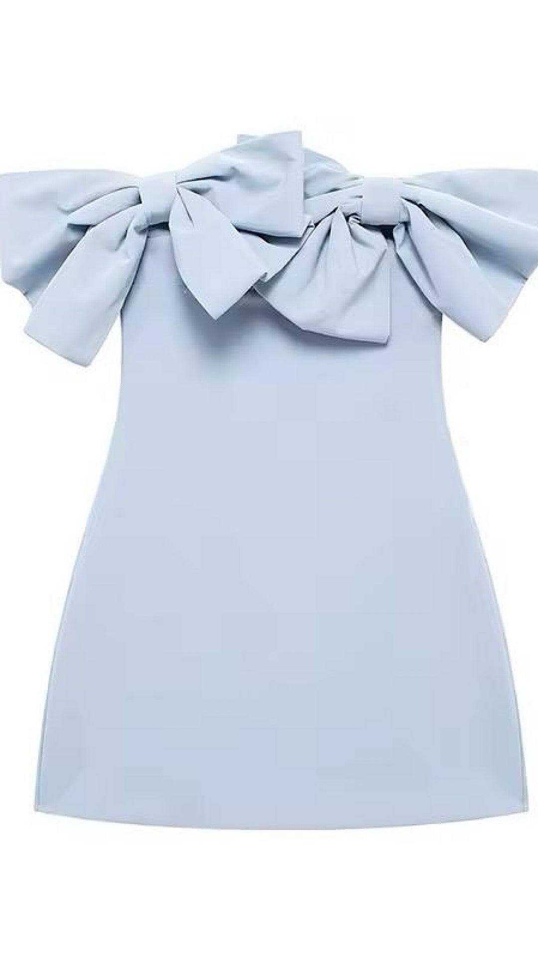 Bow Tube Dress