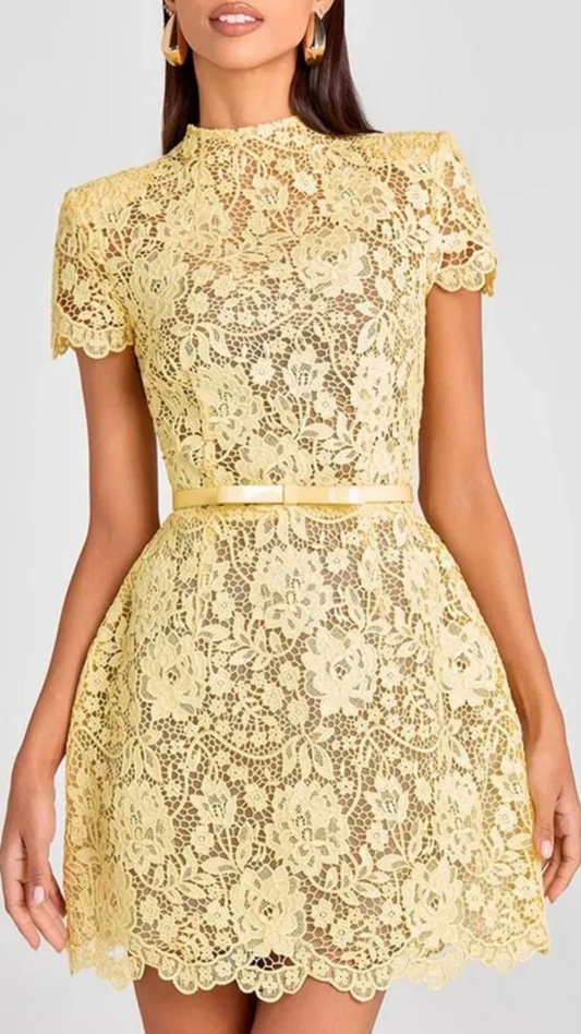 Lace Luxe Dress