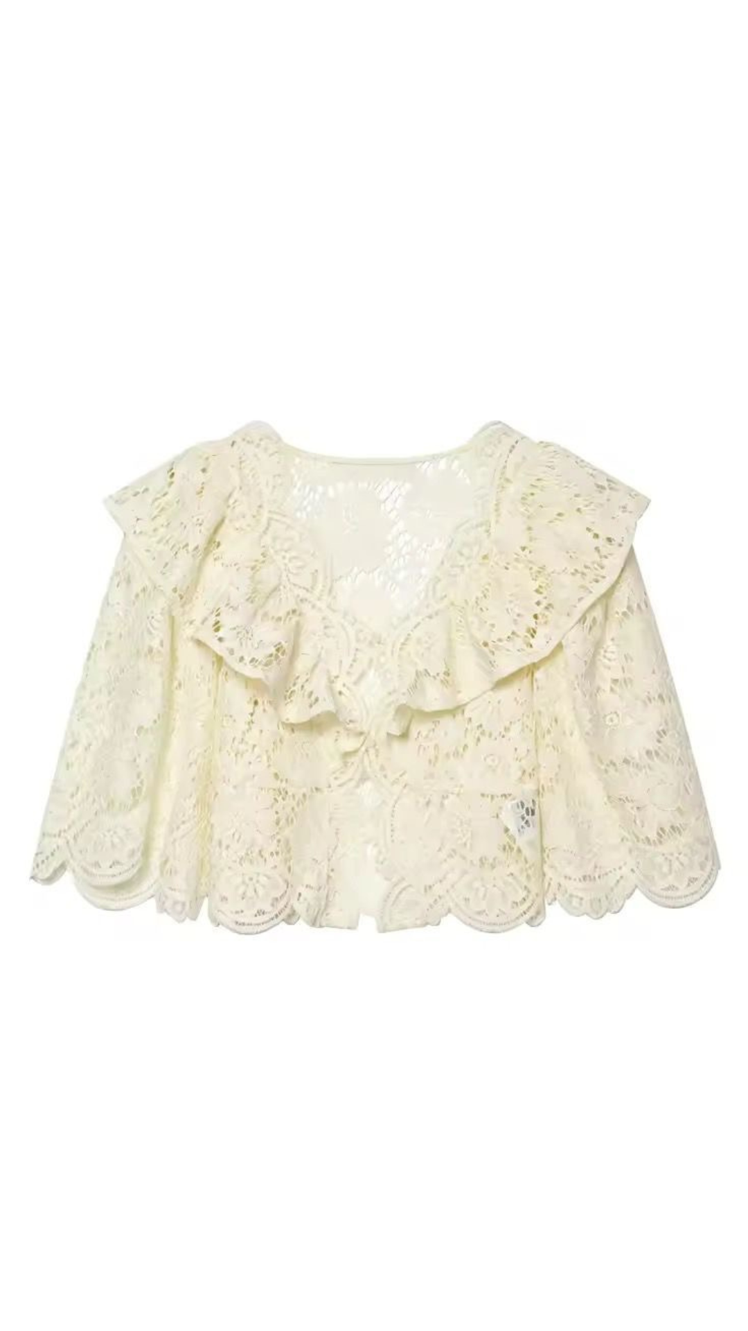 Ruffle lace blouse