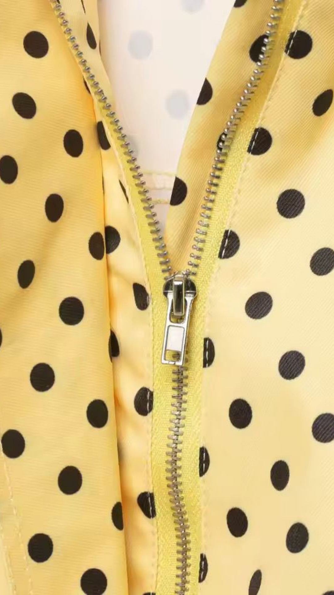 Polka Dot Jacket & Shorts Set