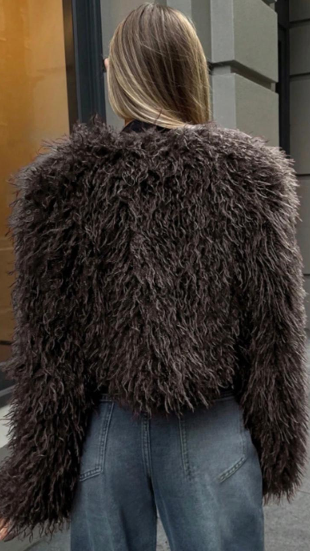 Fur Short Jacket
