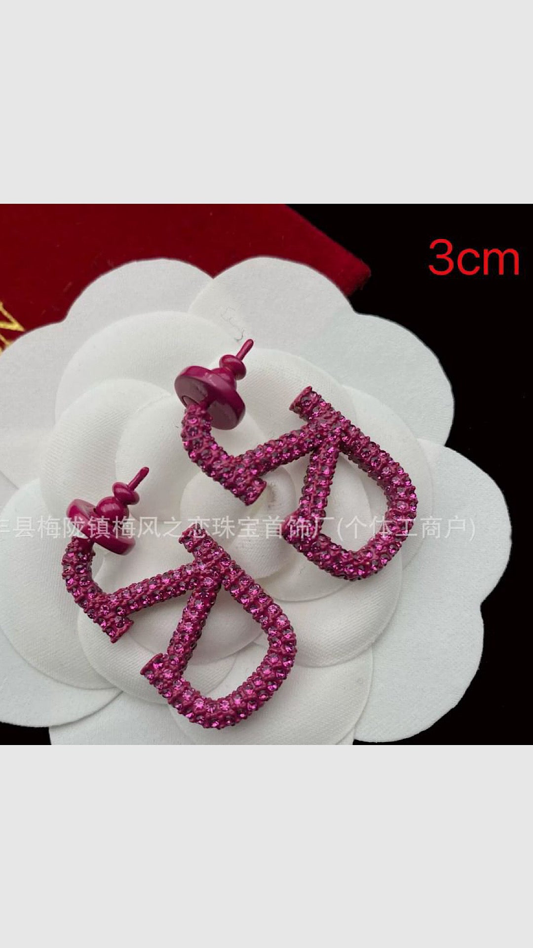 Embellished Earrings