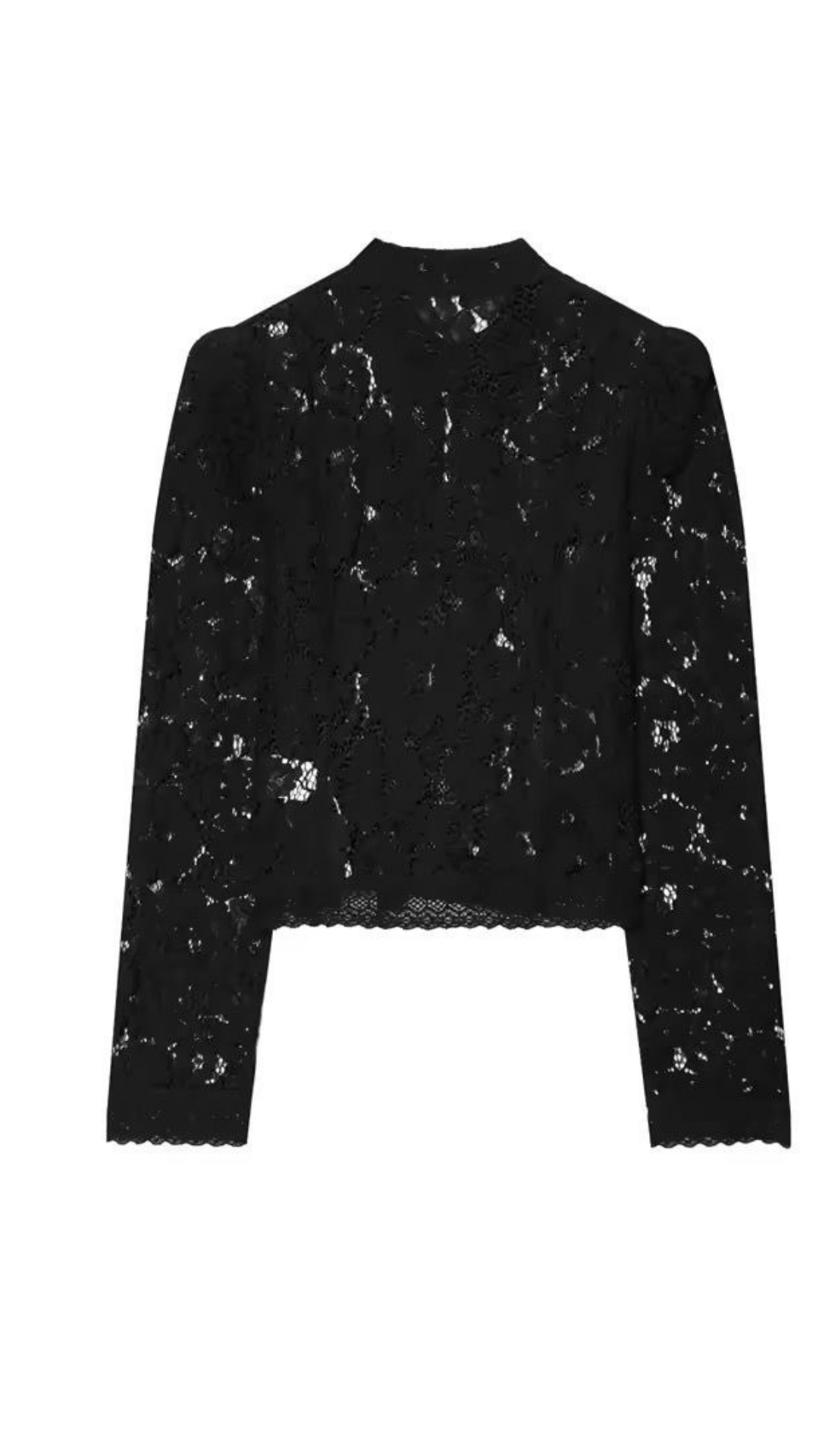 Luxe Lace Blouse