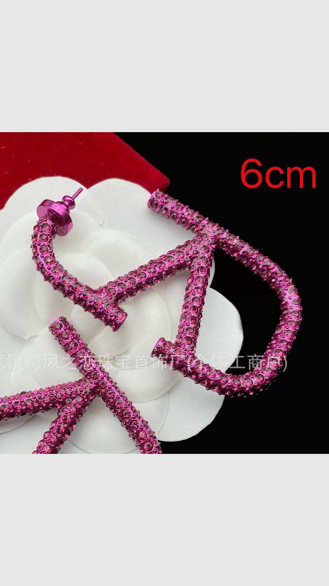 Embellished Earrings