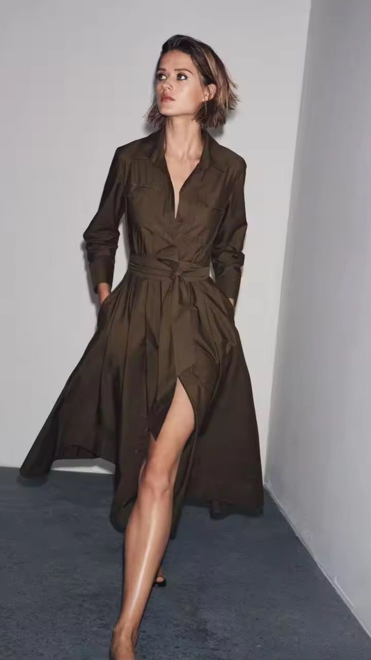 Sly Belted Dress
