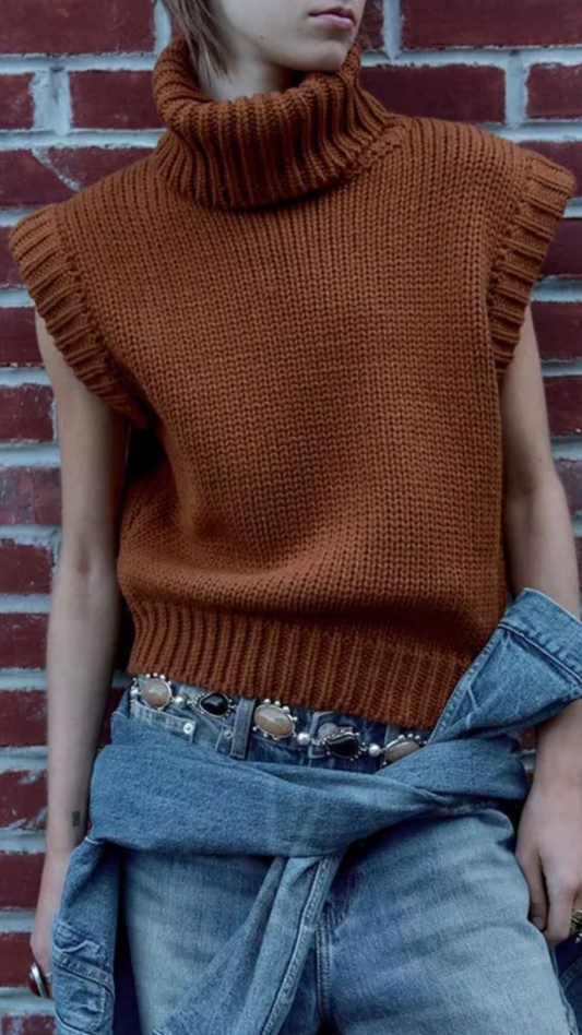 Turtle Sweater